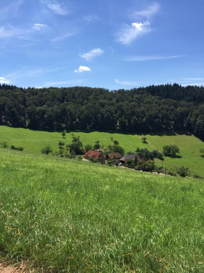 Garni Schmieder's Ochsen 3*
